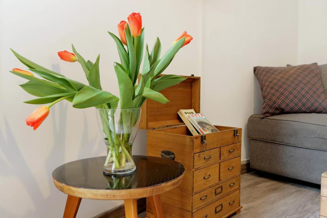 Apartament Scipioni Terrace Rzym Zewnętrze zdjęcie